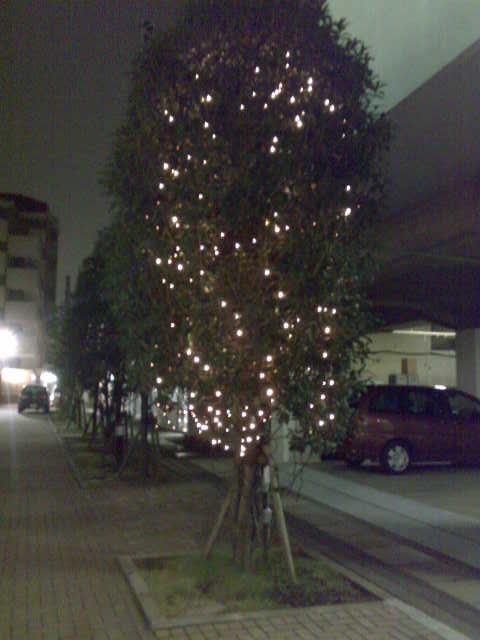 20081213.jpg