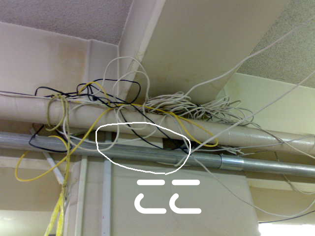 20090321.jpg
