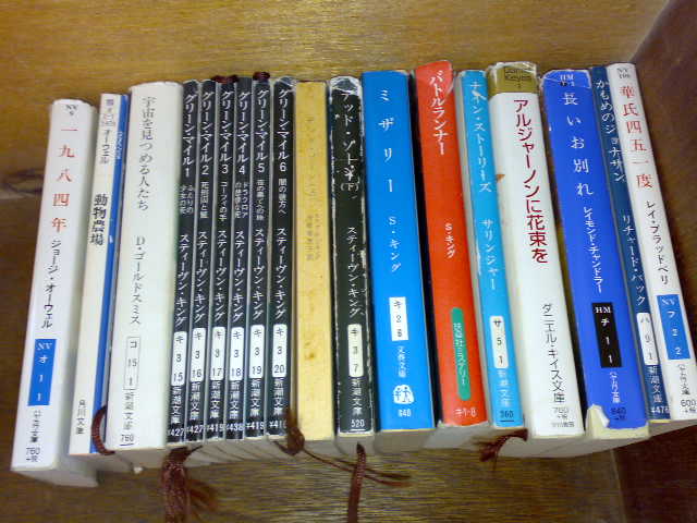 20100407519.jpg
