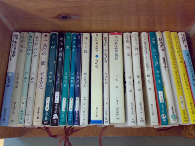 20100407521.jpg