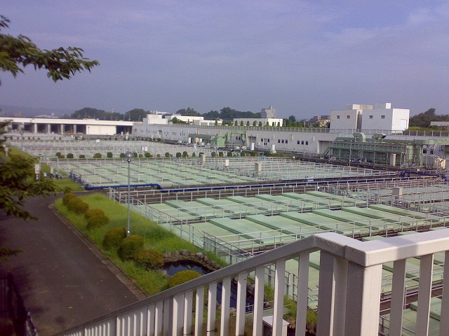 20110824_3.jpg