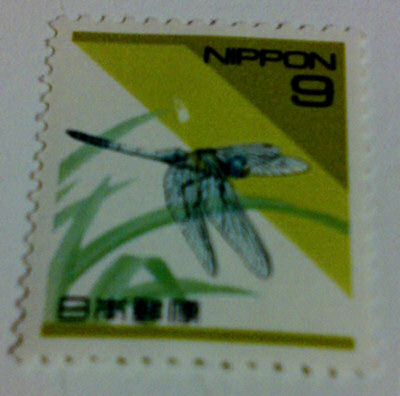 20110910.jpg