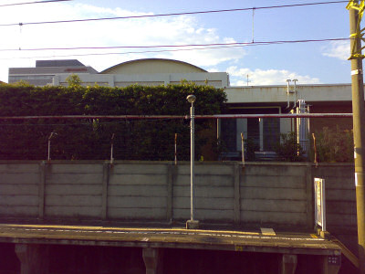 ajinomoto.jpg