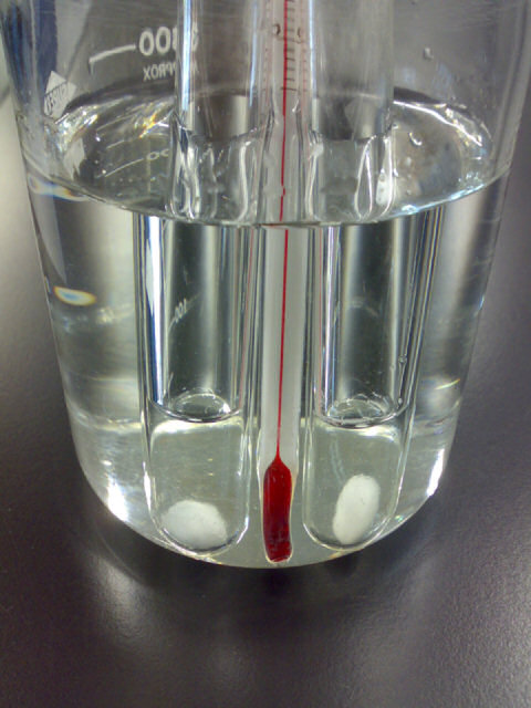 amylase.jpg
