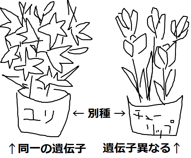 flowers.png