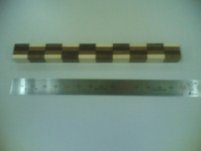 foto19.jpg