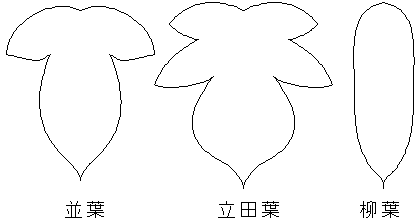 複対立遺伝