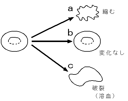 溶血